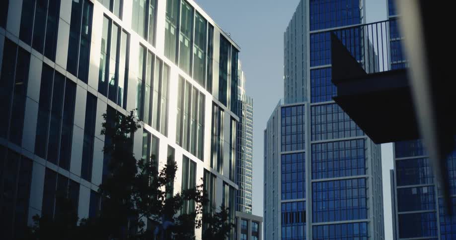 The sun shines on London office building as the trees move in the breeze