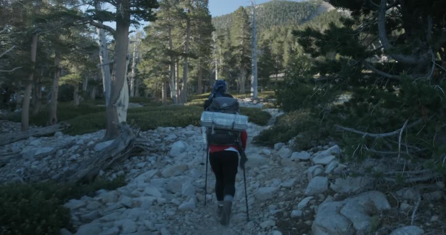 Hikers walk over rocks in a forest
