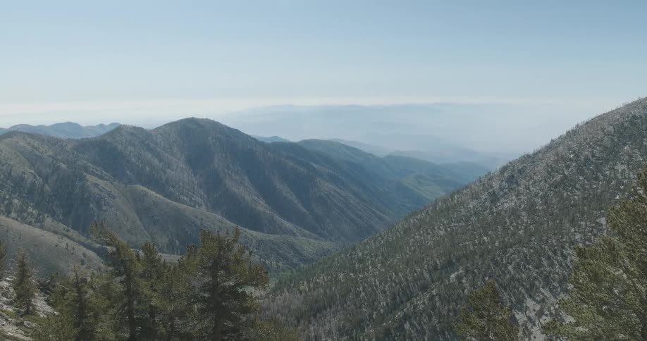 Tree covered mountains on a clear day