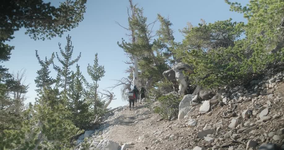 Hikers trek up the mountain
