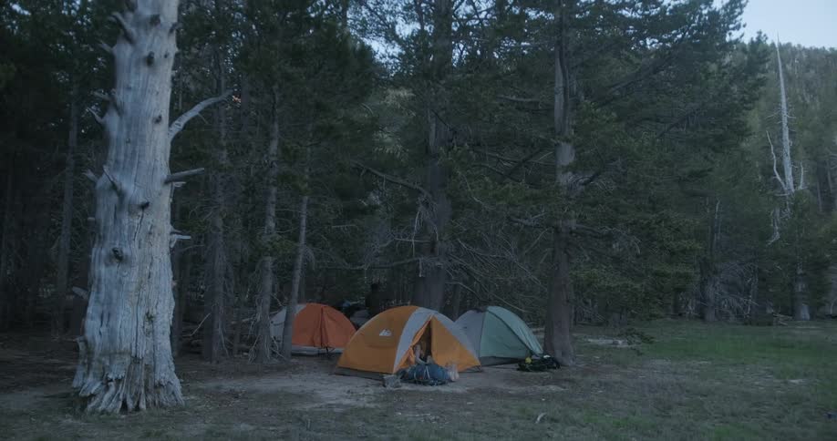 People are camping in the woods