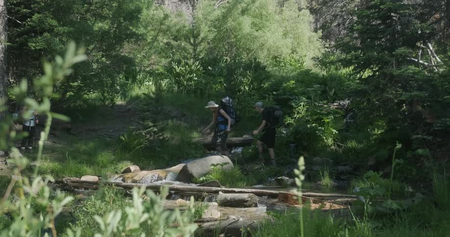 Hikers walk in the woods