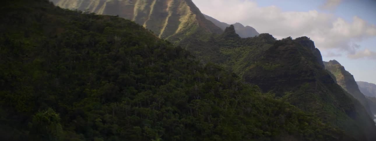 A beach at the base of a forested mountain range