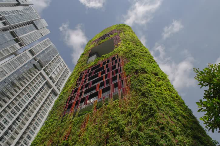 Mossy vegetation slowly growing on the geometric window facade of a modern highrise