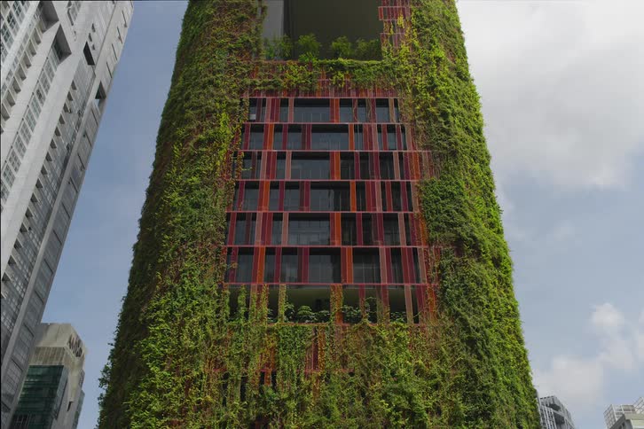 A time lapse of a building being completely covered by plants in its structure
