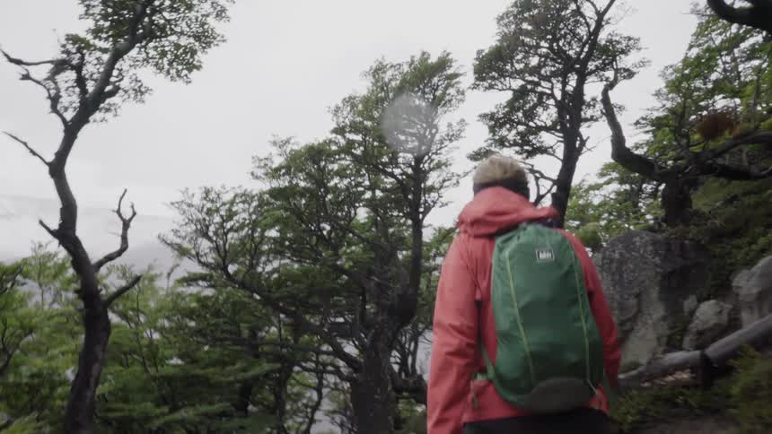 Person wearing backpack hiking in forest wilderness