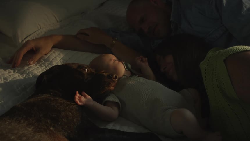 Father mother and a baby lying on the bed with affectionate feelings and next to the baby a dog resting its head on the babys head