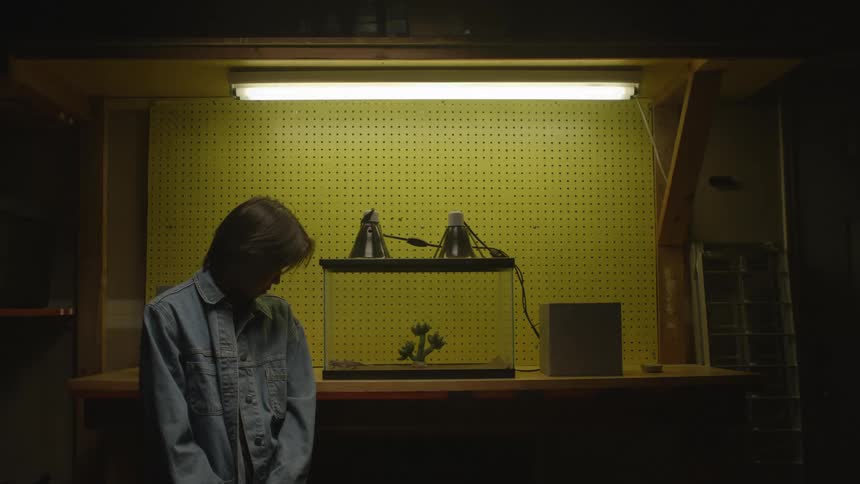 Young man standing up in a room next to a table with a lizard inside a glass cage