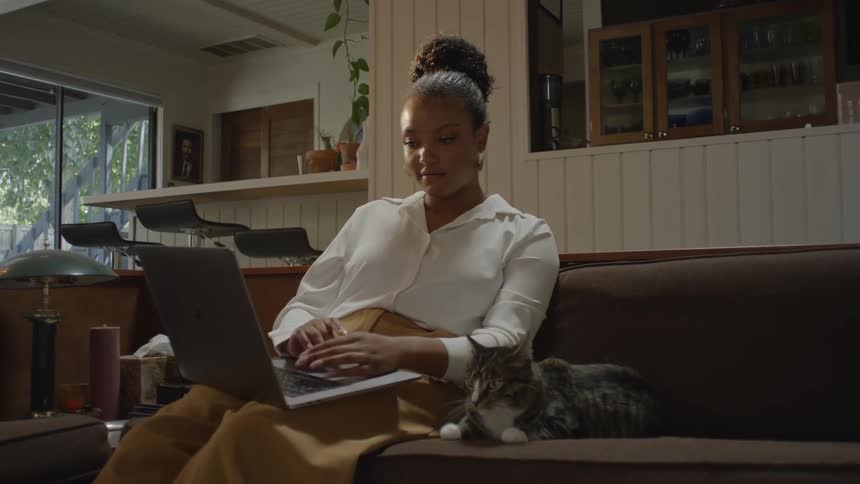 A woman with a laptop sitting on a couch petting a cat