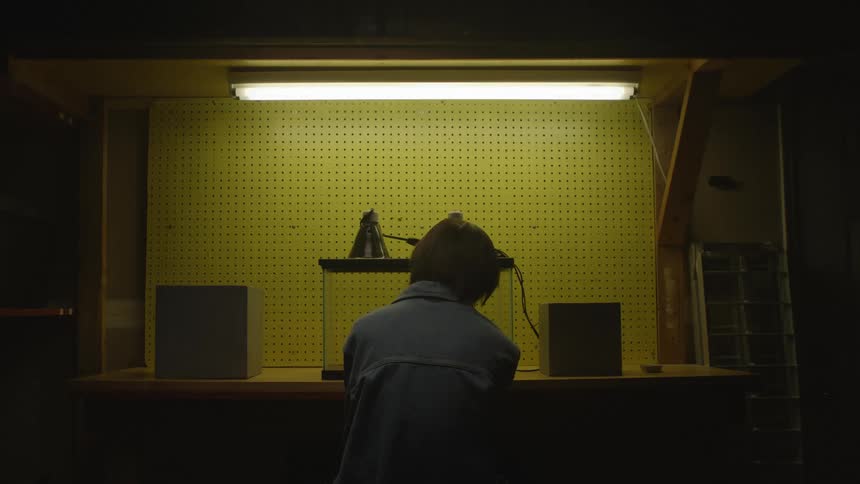 Person from the back sitting down inside looking at a glass cage