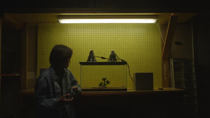 Young asian woman holding a camera and observing a reptile aquarium