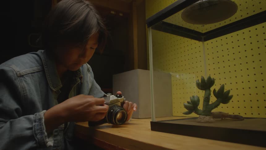 Oung asian woman both photographer and observer capturing images of a salamander within an indoor glass enclosure