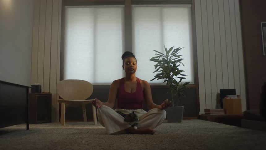 Woman in a yoga pose on a mat with her cat on her legs she loses concentration and looks at the cat with a joyful expression