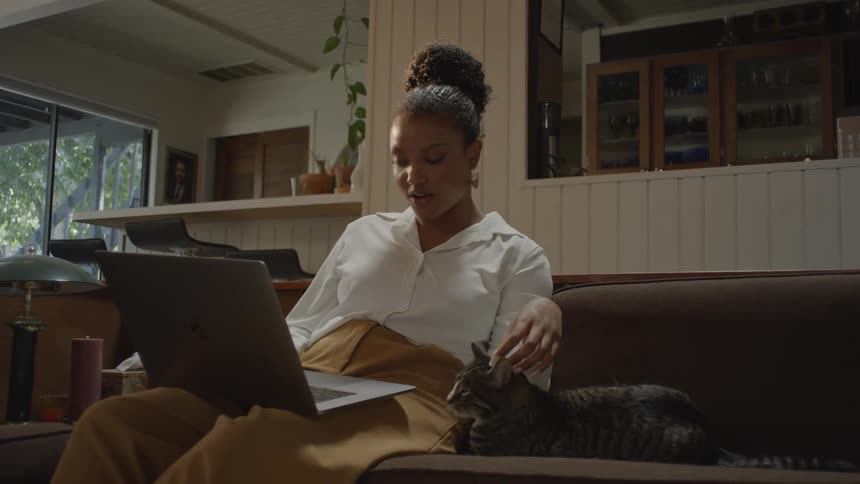 A woman is sitting on the couch working on a computer and stroking a cat