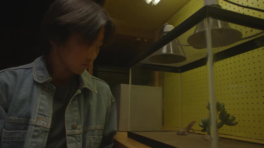 A boy is tapping on the glass of an aquarium with a lizard inside