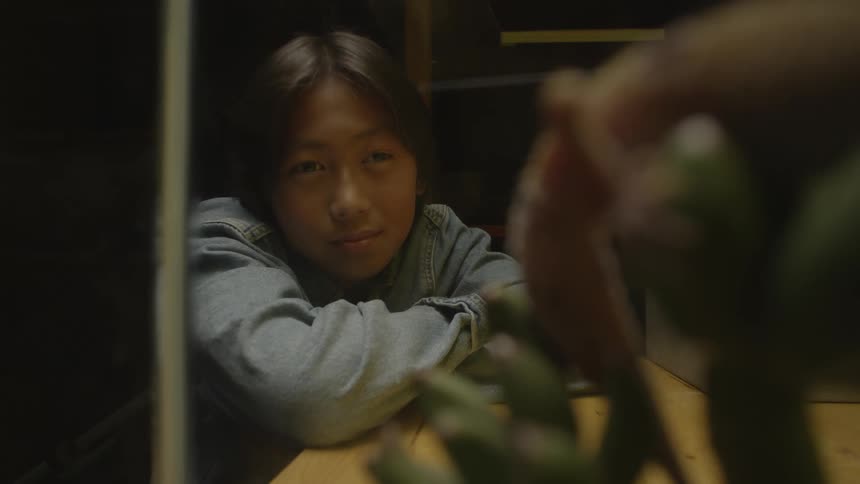 A smiling boy watches a lizard in an aquarium