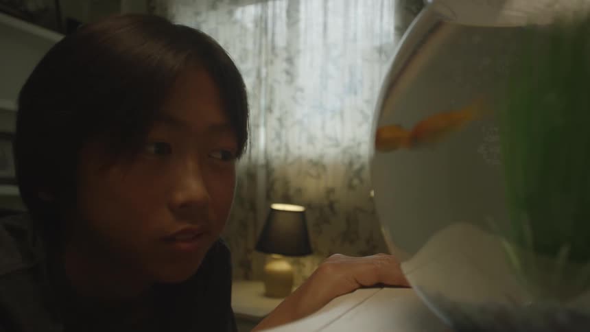 A person gazes at a fishbowl indoors