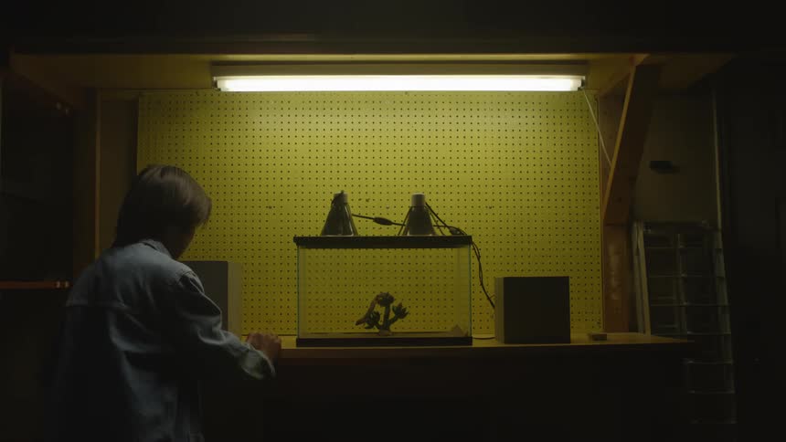 Person walks into room and stand near terrarium under light