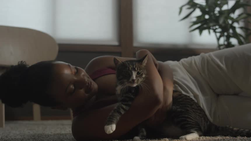 A woman is hugging a graystriped cat