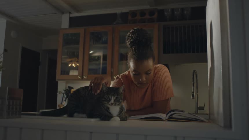 A woman leaning on a kitchen counter while reading a book and petting her cat next to her