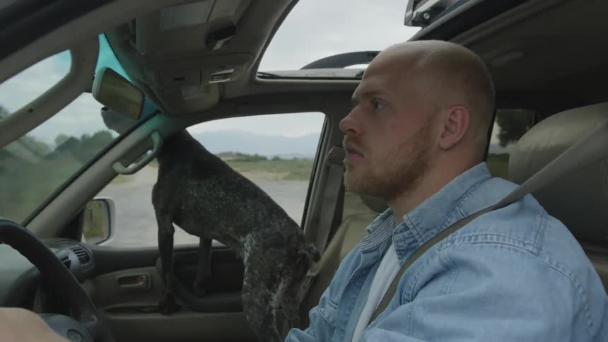 Man driving his car with his dog beside him in the front seat its head out of the window