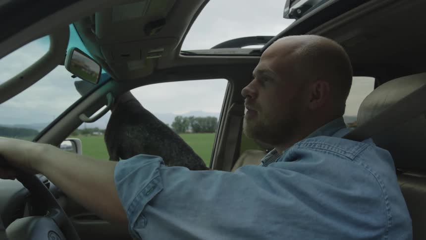 A man driving a car while a dog sticks its head out the passenger window