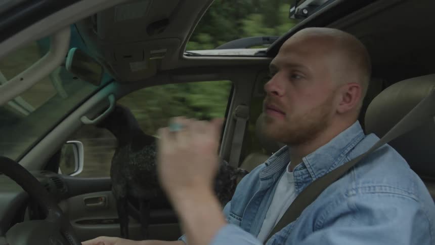 A man is driving his car as his pet dog sticks its head out of the sunroof and passenger side window