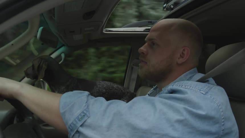 A man drives a car while petting the dog in the passenger seat