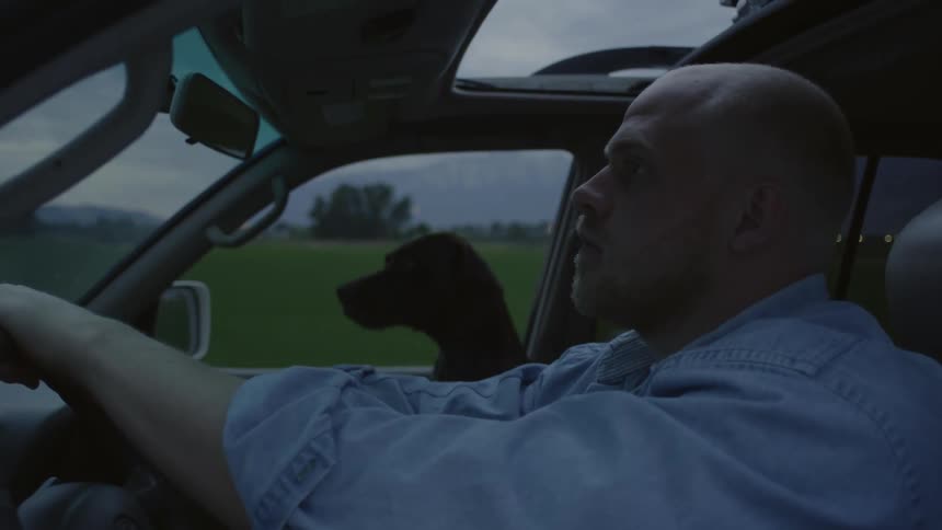 A man is driving his car as his pet dog stands in the passenger seat looking around as he reaches over and pets it