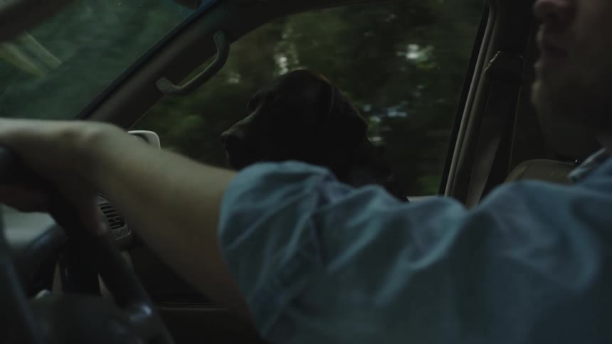 A man is driving his car as his pet dog sits in the passenger seat looking around