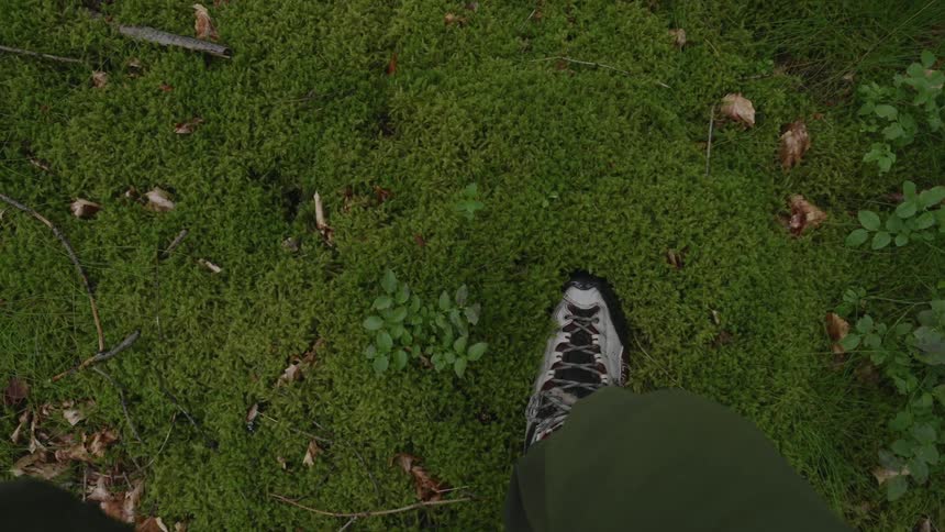 Closeup of a leg walking in a forest sinking into soft grass and moss