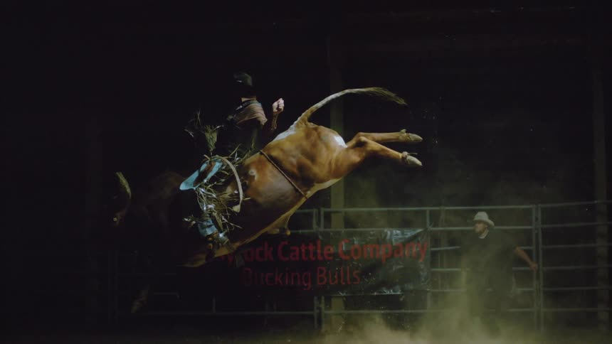 A cowboy is riding a bull