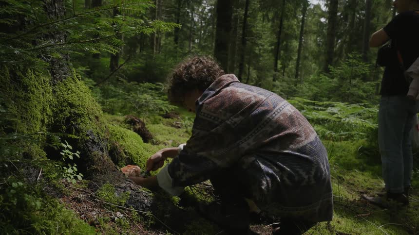 A woman picks a mushroom in the forest