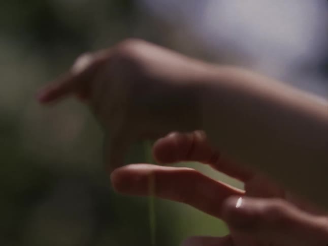 An adult hand and a childs hand playing with a white flower