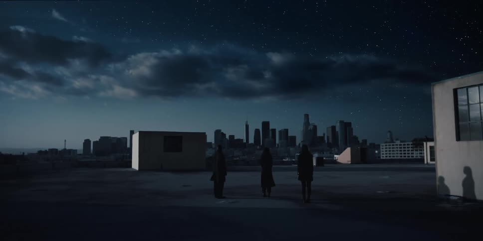 Silhouette of three people standing on the roof of a building under a starry sky