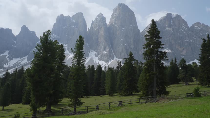 View of a landscape with meadow trees and snowcovered mountain range