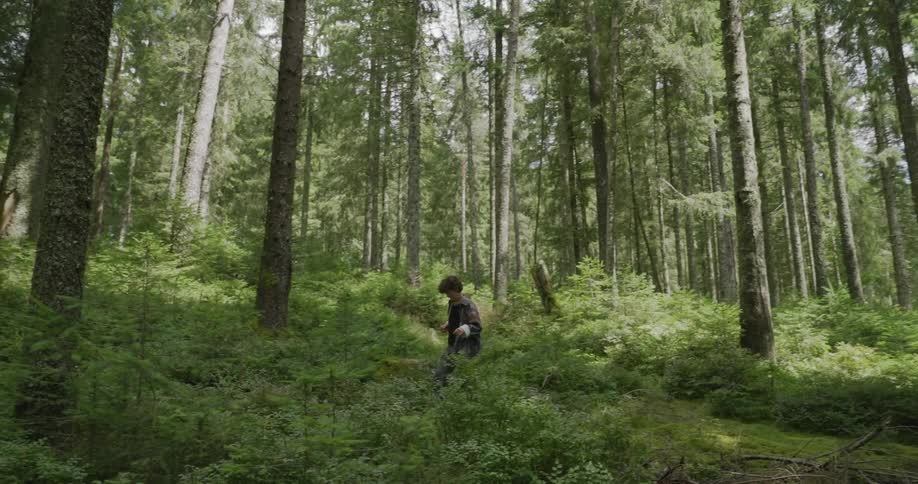 A boy walking in the woods in daytime picks something up off the ground