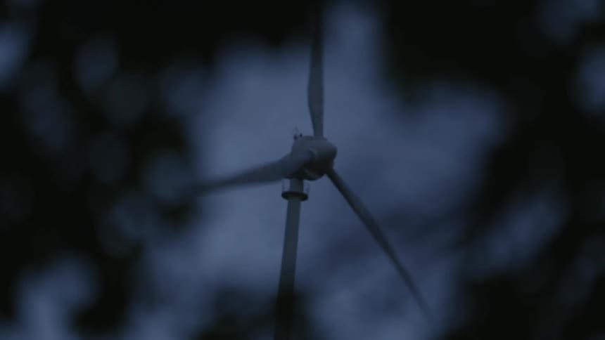 A wind turbine is shown through the silhouette of a trees branches at dusk