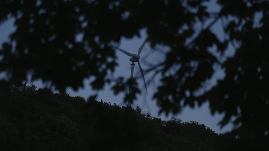 A wind turbine is shown through the silhouette of some tree branches with leaves