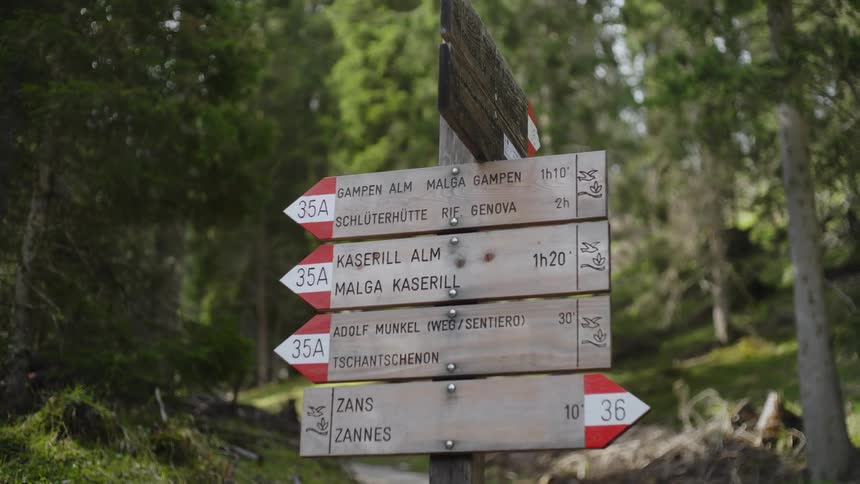 Signage board amidst a treerich environment