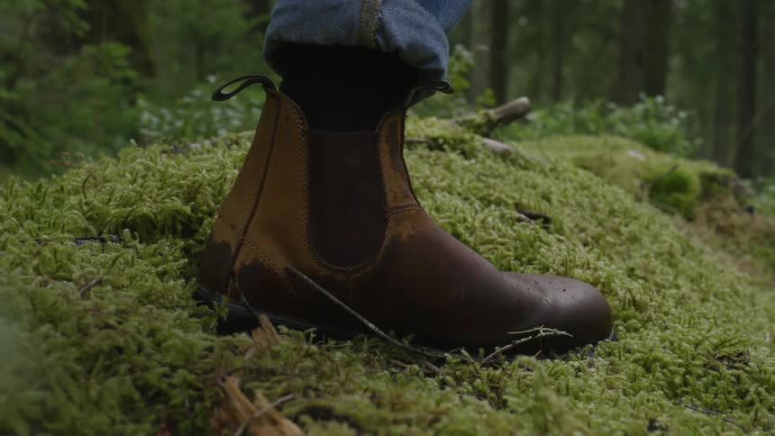 A hiker wearing brown boots walks on a hill covered with plants and vegetation