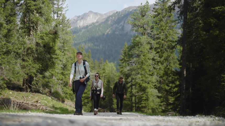 Person walking on a dirt road in the forest during the day