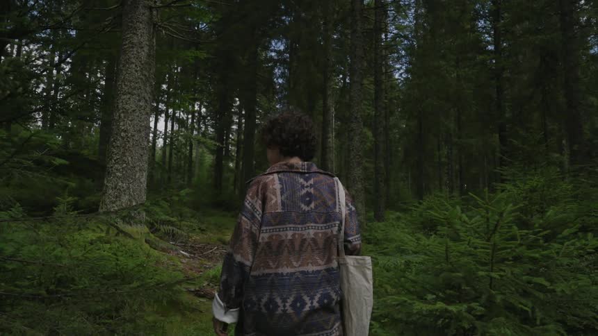 A person in a big coat walking on a path in the middle of a forest with big trees