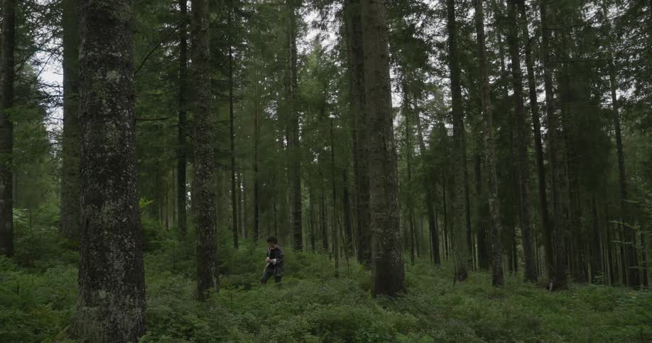 A teenage boy looks around as he walks through the forest