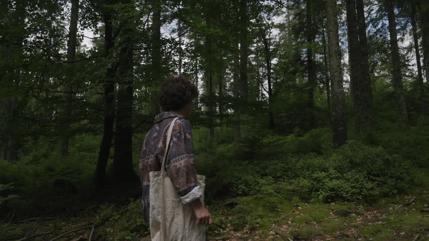 Person walks in forest with shoulder bag