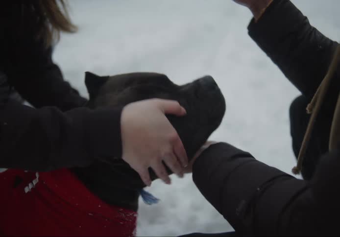 Man and woman petting a dog in the snow during the day