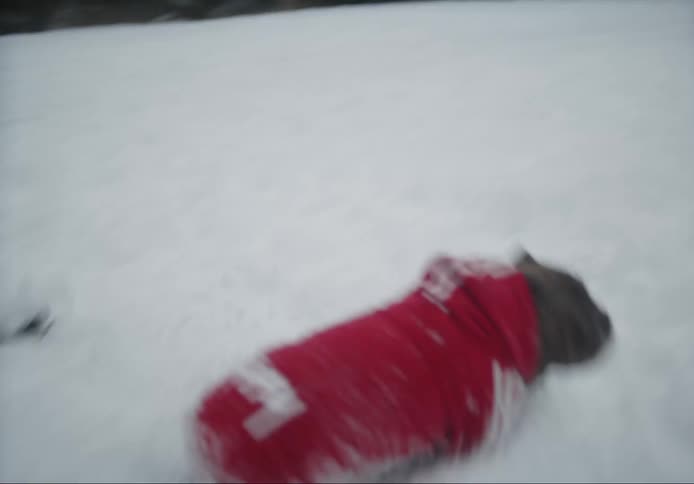 A dog in a red coat running in a snowy environment