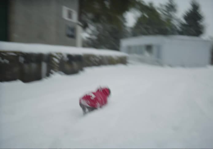 Small dogs in red sweaters running through the snow playing with a toy ball as people walk around with them