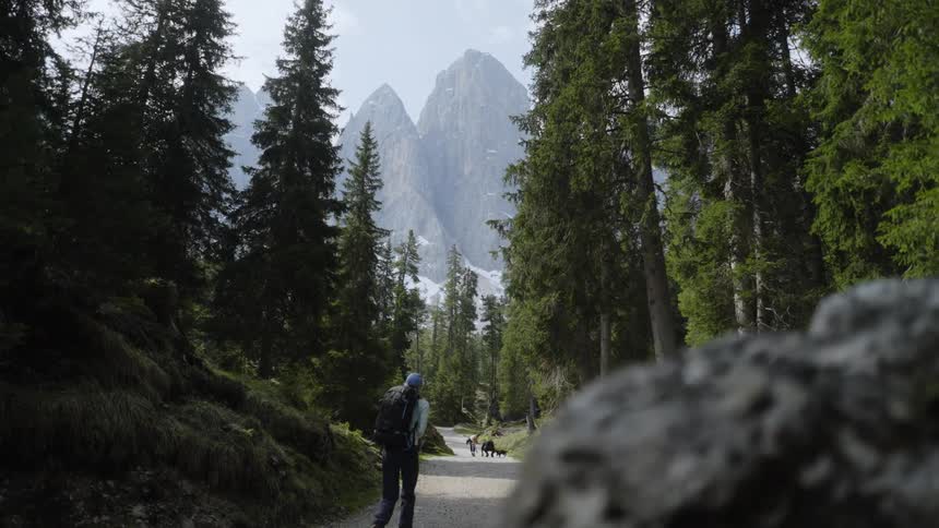 Man hiking in a forest with a snowcovered mountain range in the background
