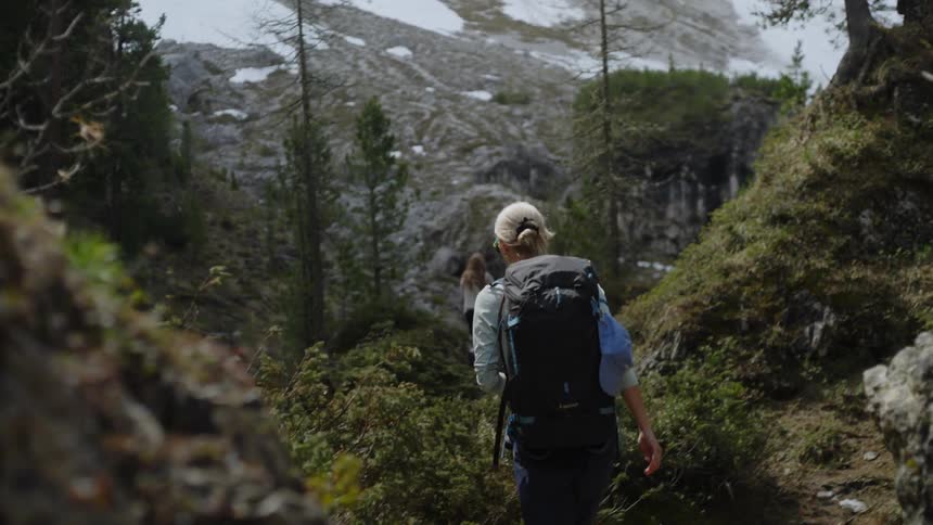 Two women hiking through a forest with snowcovered mountains in the background